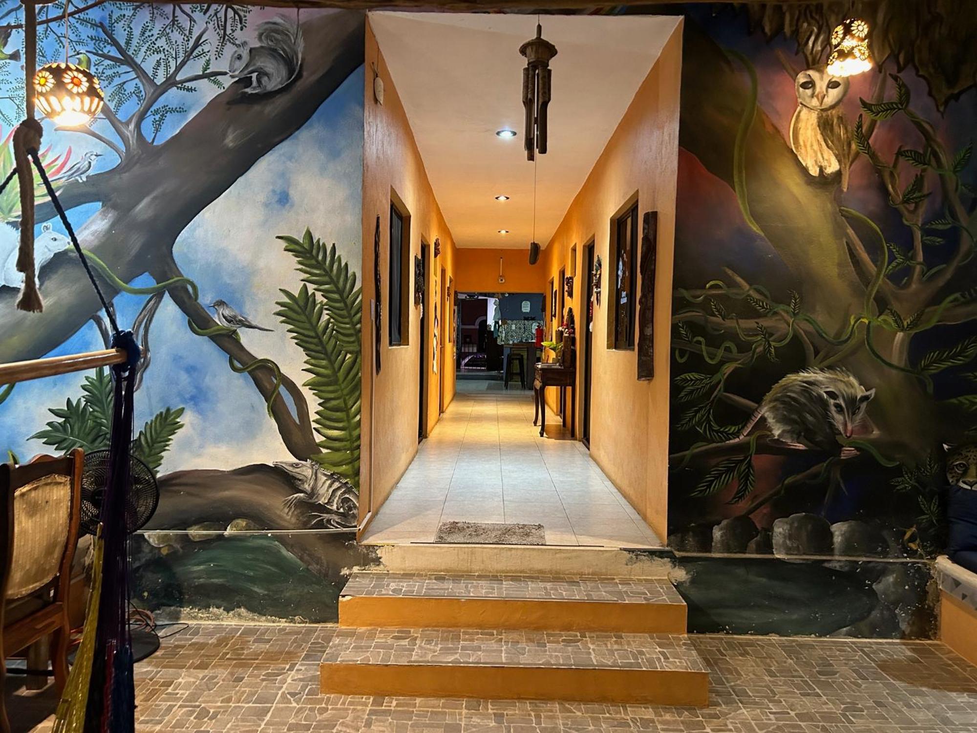 Hostel Casa Xtakay Valladolid  Dış mekan fotoğraf
